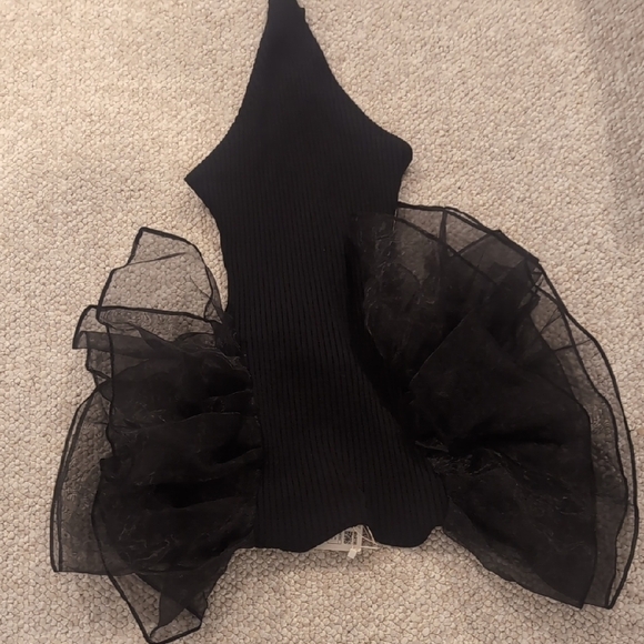 Zara Black Bodysuit with Oversized Sheer Puff Sleeves - Picture 5 of 5